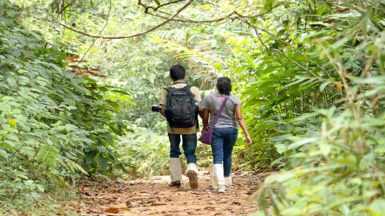 Hiking from Mount Lavinia