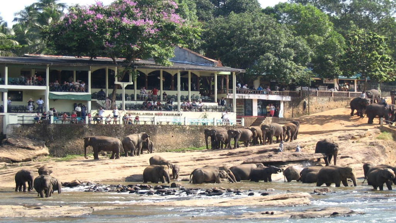 Ralidiya Hotel, Pinnawala