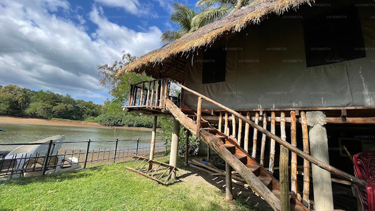 Pelican Lake, Udawalawe