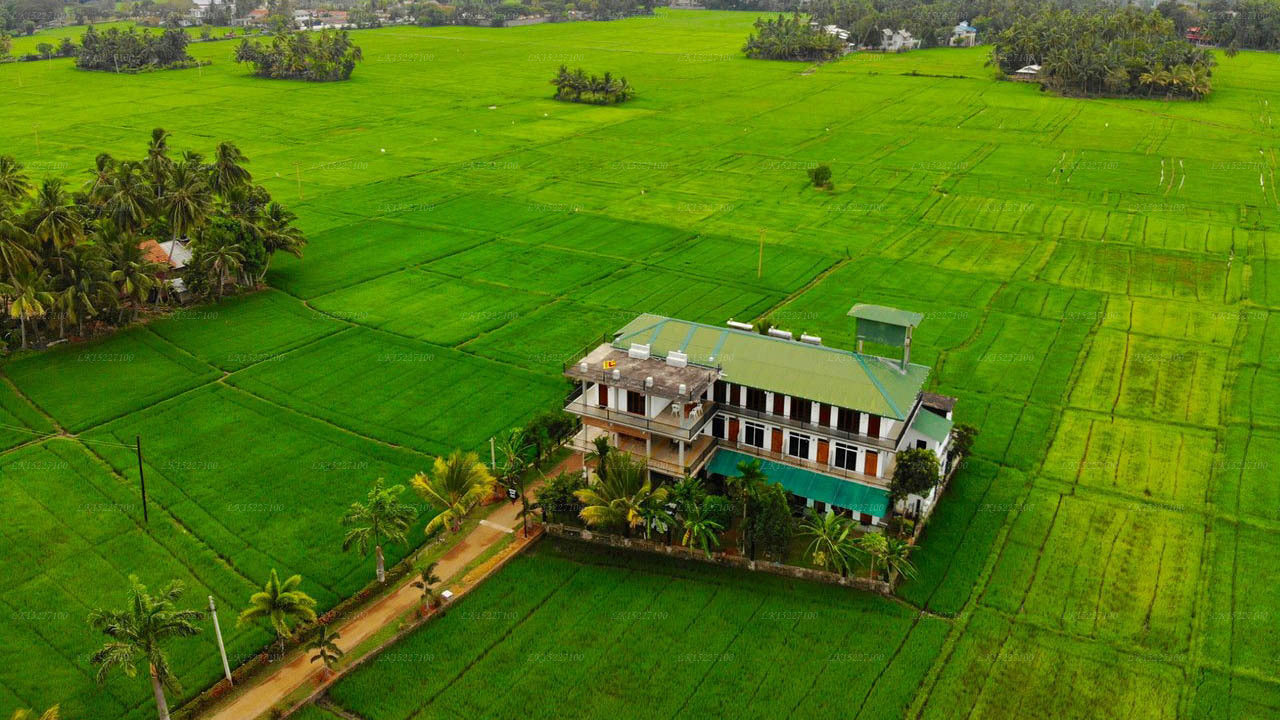 Serene Park Hotel, Tissamaharama