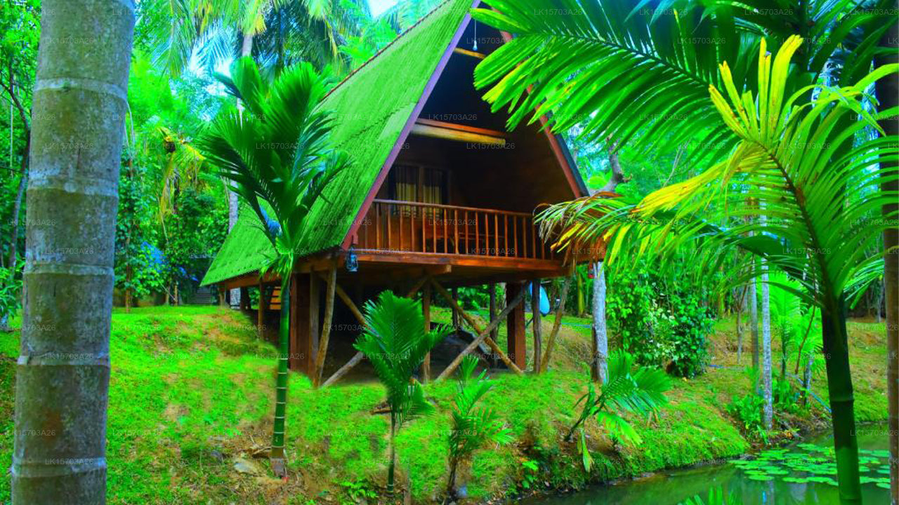 Wild Lake Side, Udawalawe