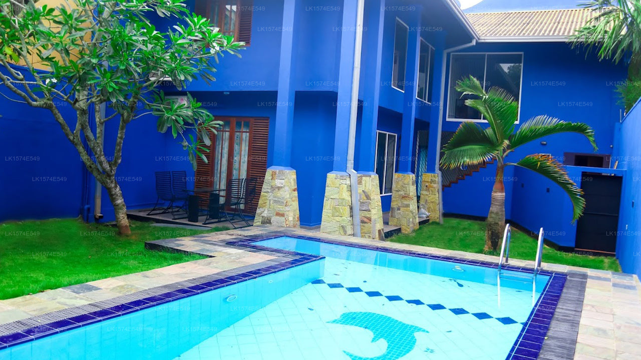 Blue Palm Villa