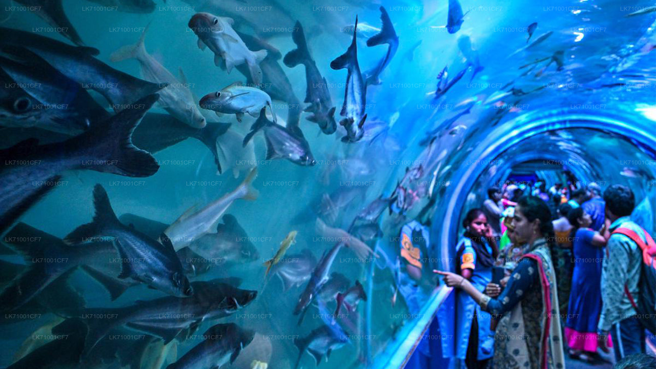 Water world Aquarium & Bird Park Entrance Tickets