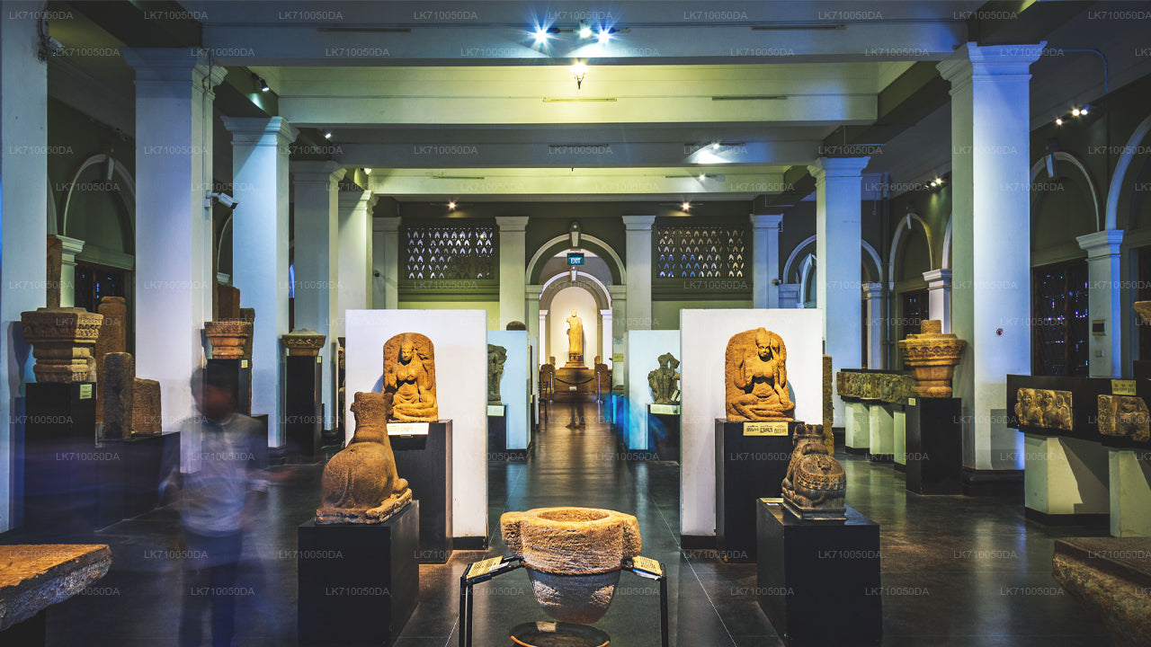 Colombo National Museum Entrance Ticket