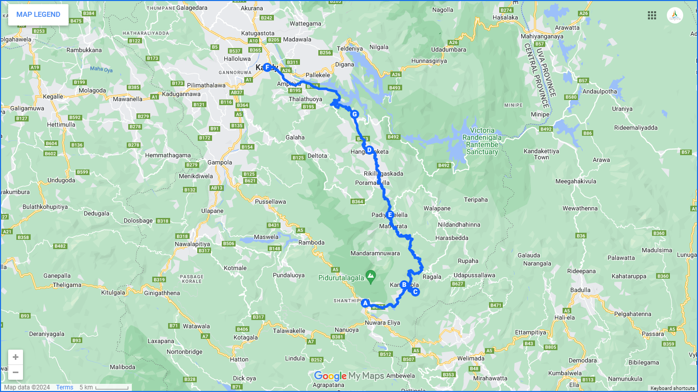 Tea Trails by Bicycle from Nuwara Eliya