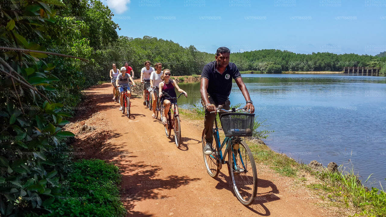 Cycling 100km sale