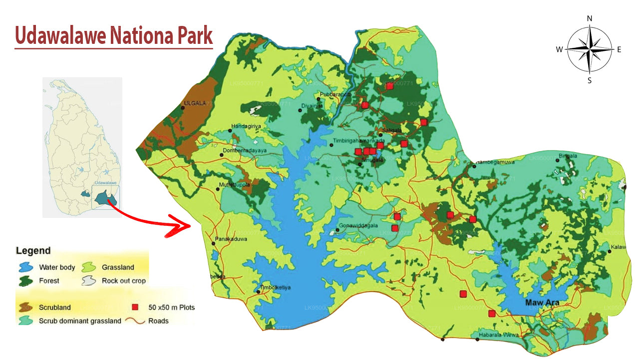 Udawalawe National Park Safari