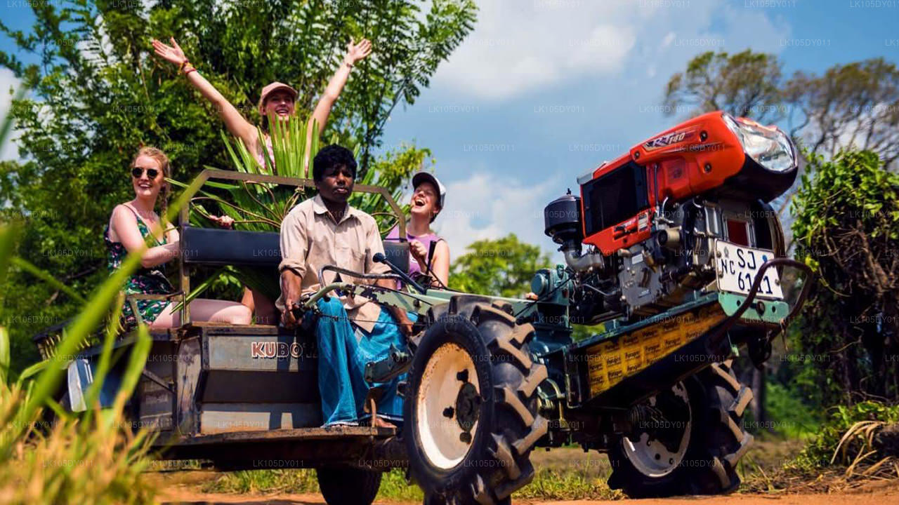 جولة زراعية في سريلانكا (6 أيام)