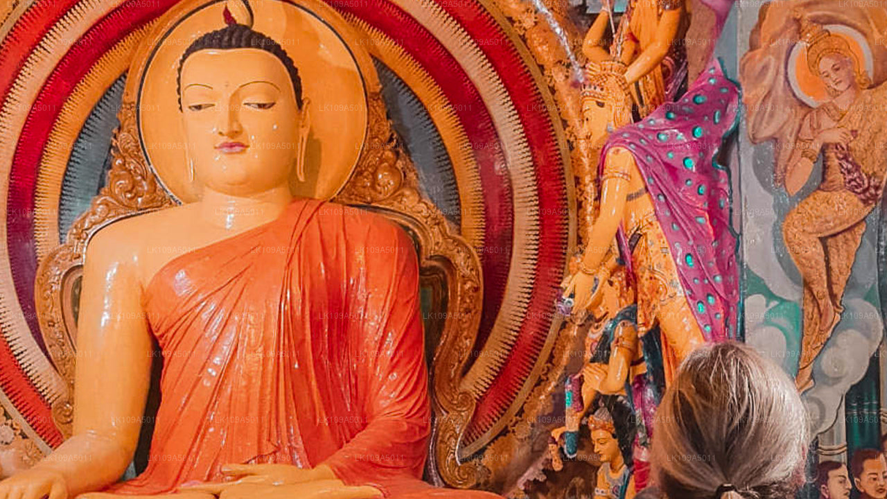 جولة الحج البوذية (9 أيام)