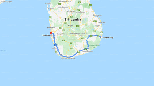 Arugam Bay City to Colombo City Private Transfer