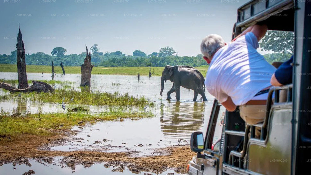 Bundala National Park Shared Safari