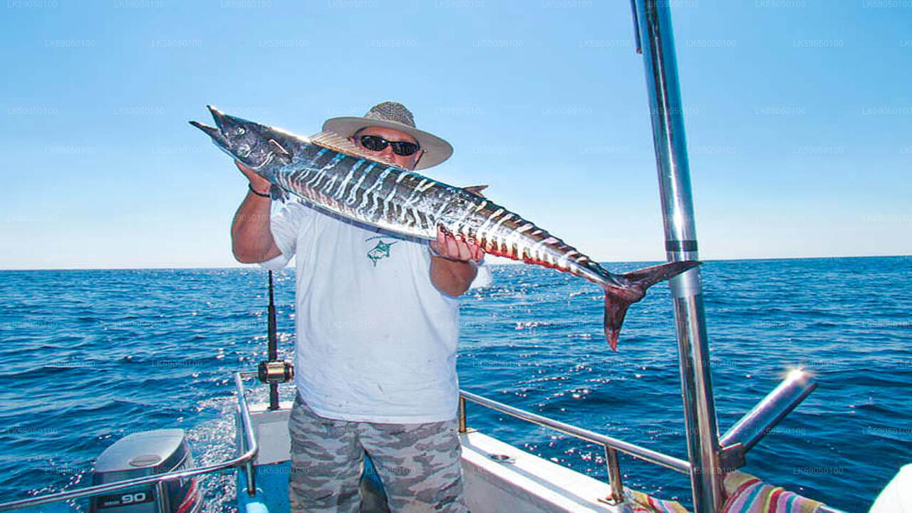 Sport Fishing from Negombo