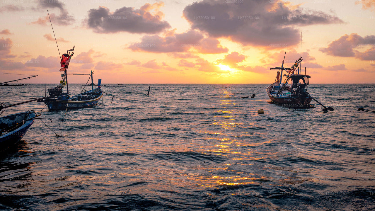 Sport Fishing from Negombo