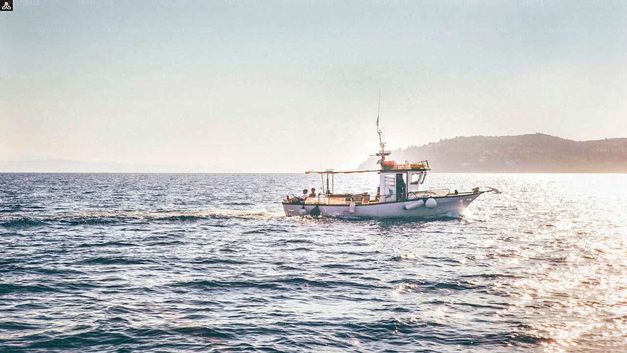 جولة بقارب الصيد في أعماق البحار من هيكادوا