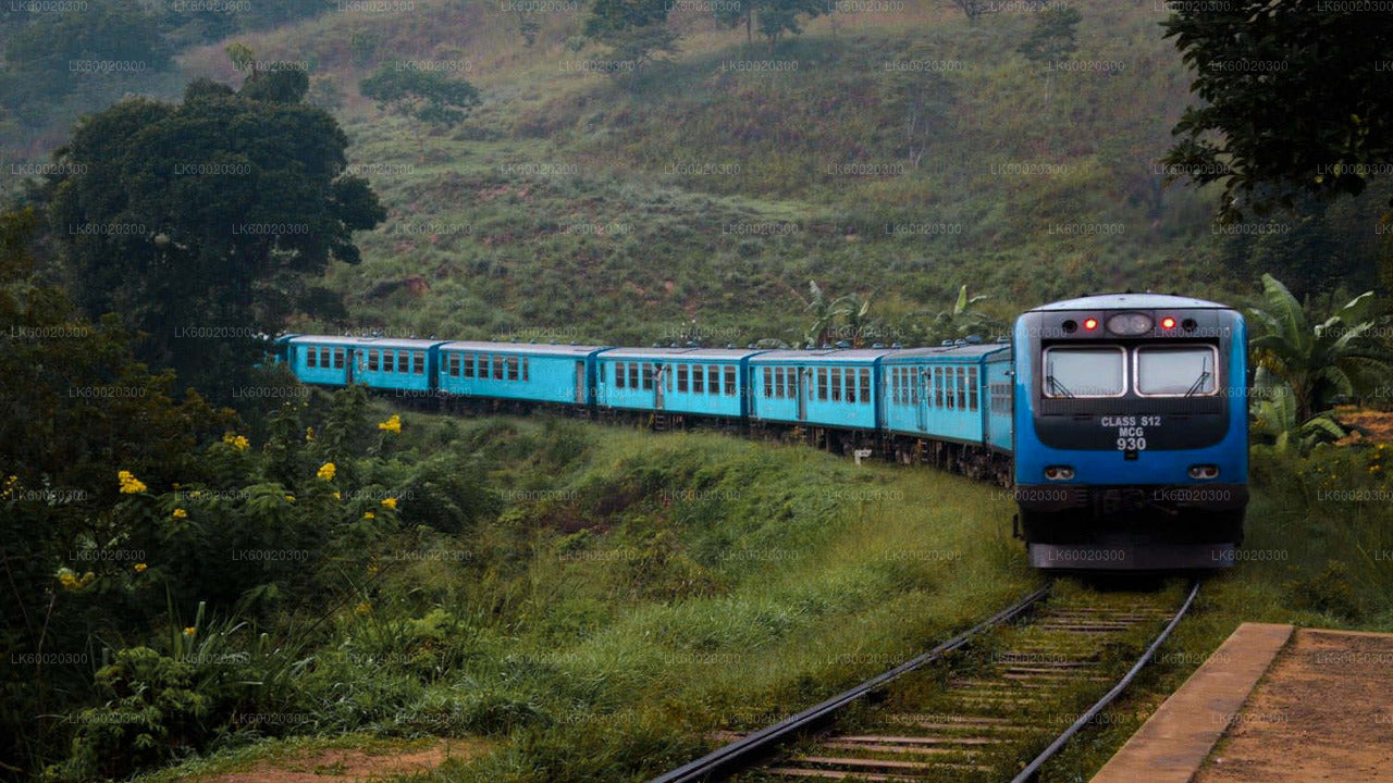 Nuwara Eliya from Kandy by Train