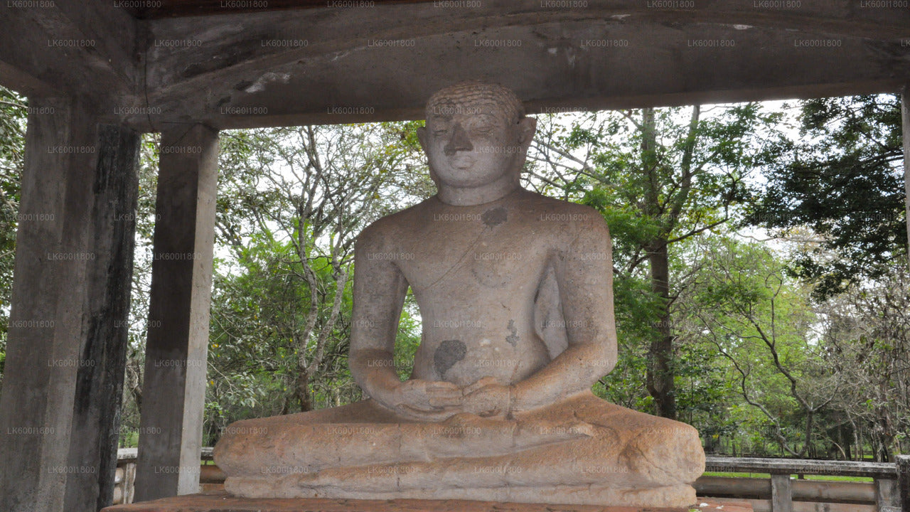 جولة أيقونات أنورادابورا البوذية من دامبولا
