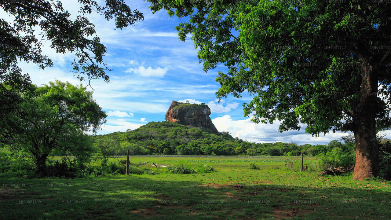 Sigiriya and Dambulla from Habarana