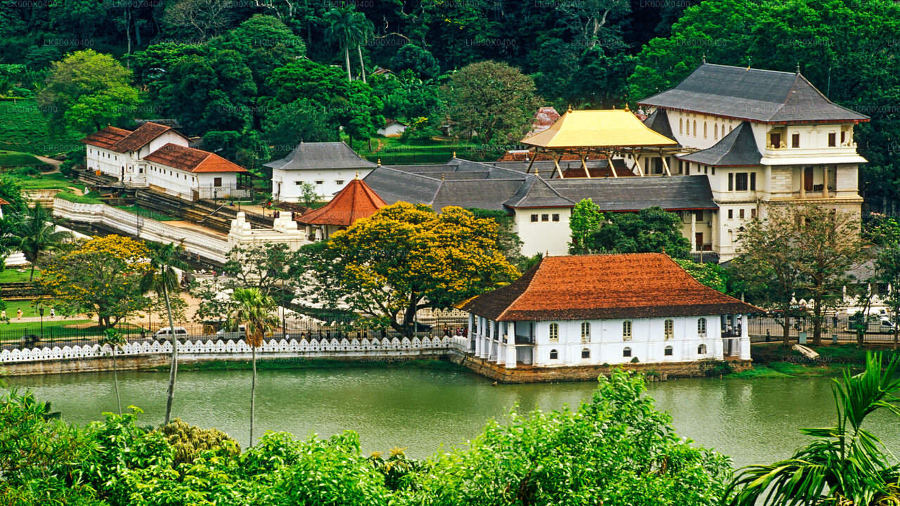 Kandy City Tour from Hikkaduwa