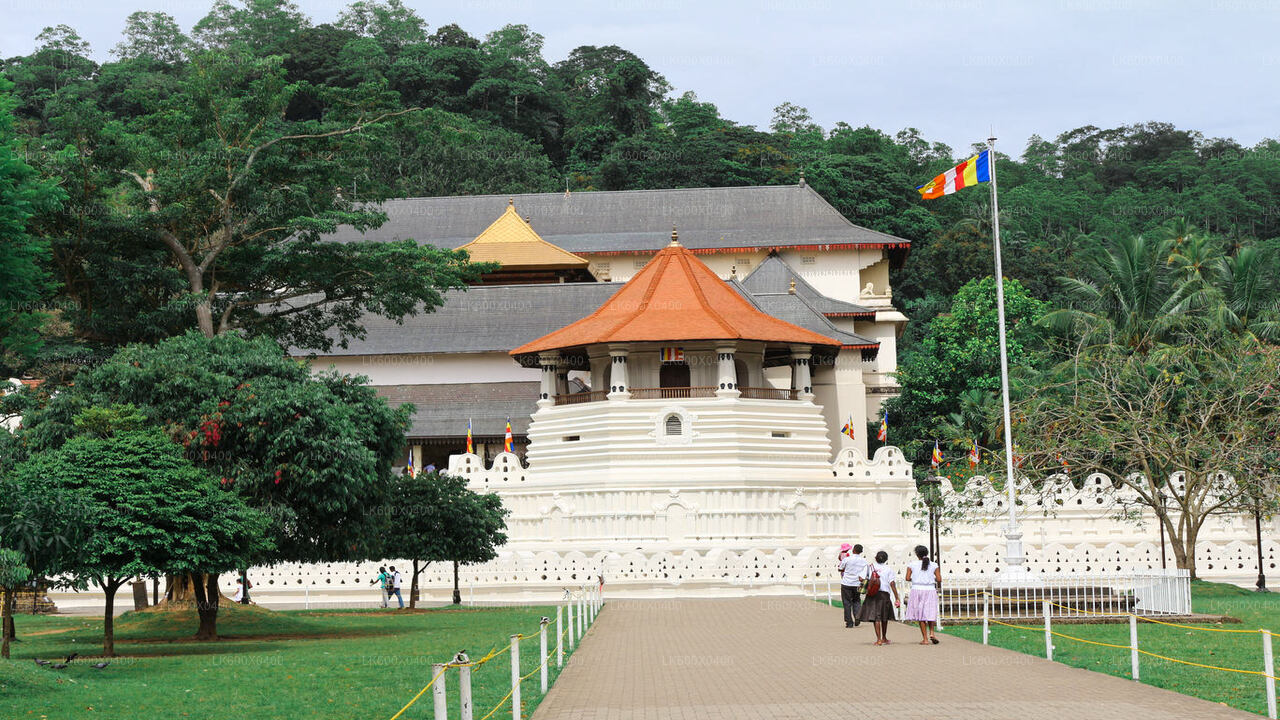 Kandy City Tour from Hikkaduwa