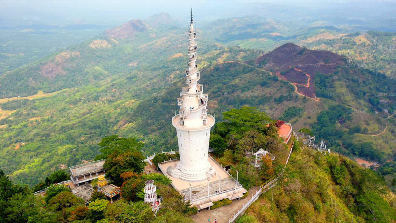 Explore Ambuluwawa Biodiversity Complex from Kandy