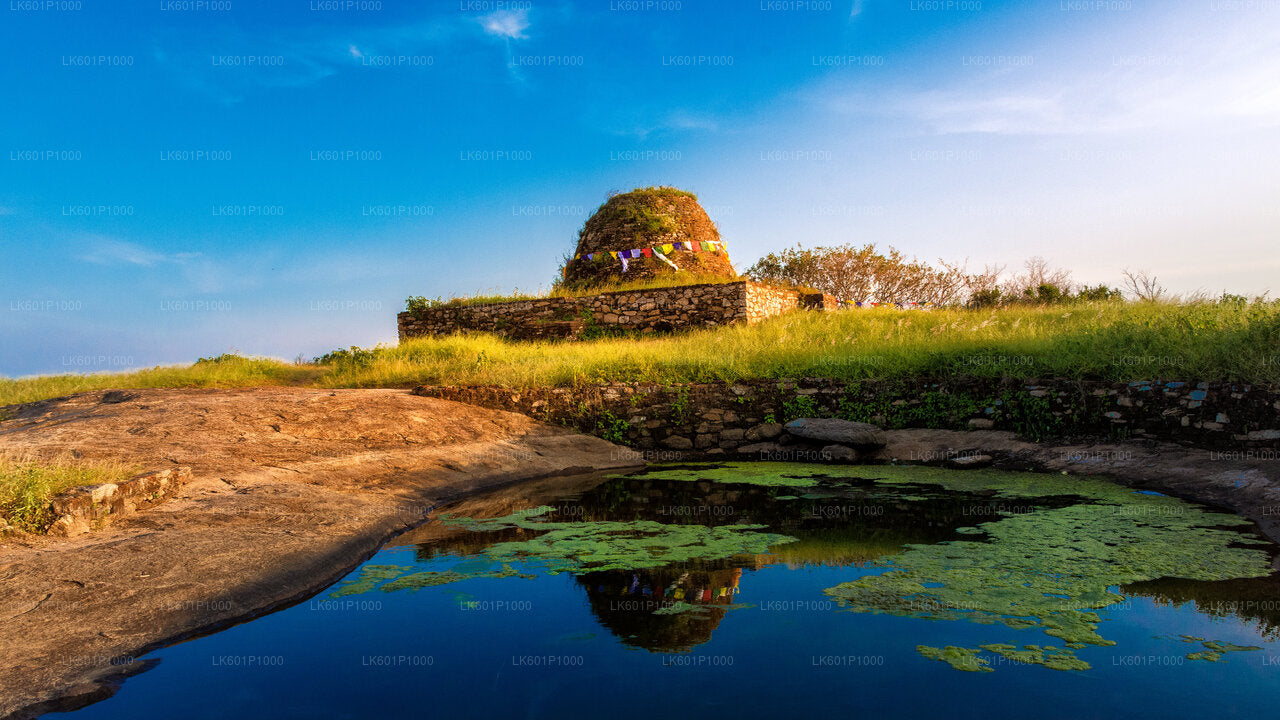 3 Ancient Kingdoms from Negombo