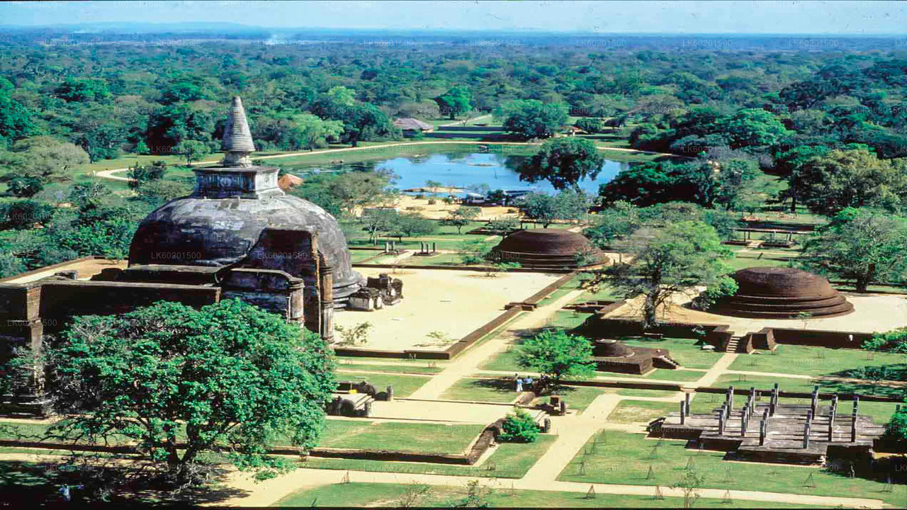 Polonnaruwa Ancient Kingdom and Wild Elephant Safari from Sigiriya