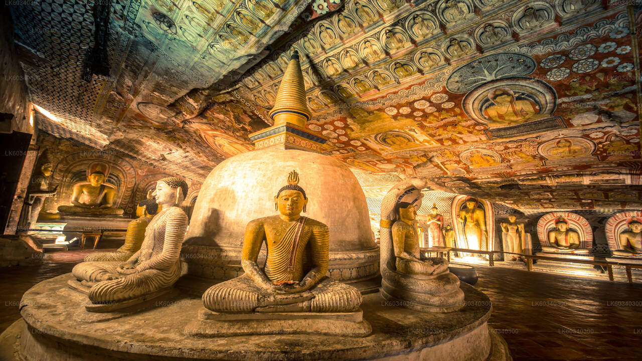 Sigiriya Rock and Dambulla Cave from Panadura