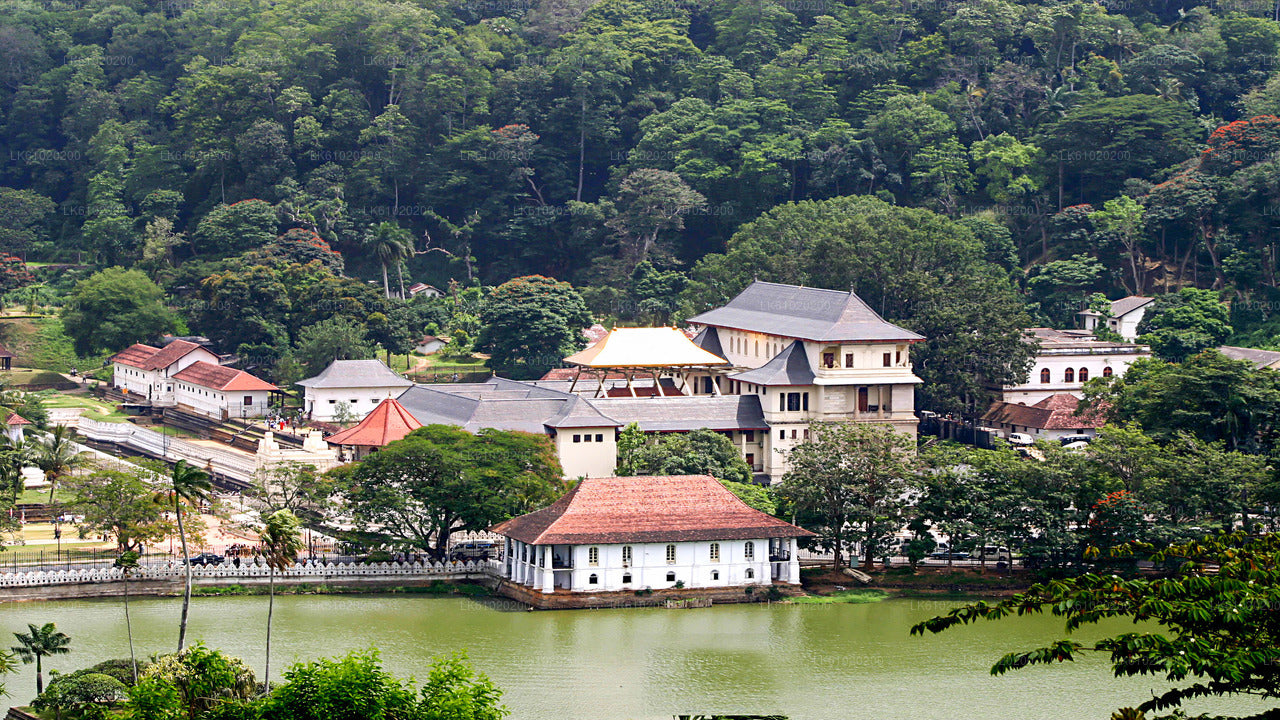 Kandy City Walk with a Local