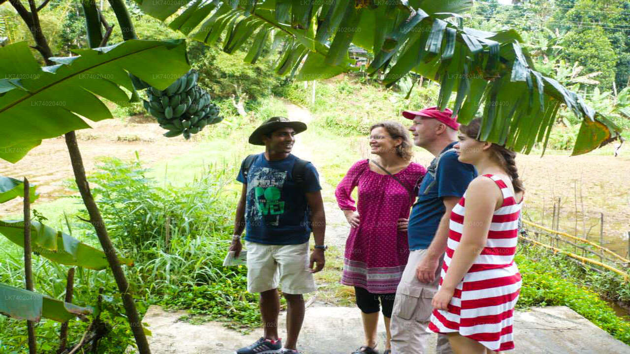 Countryside Hike from Kandy