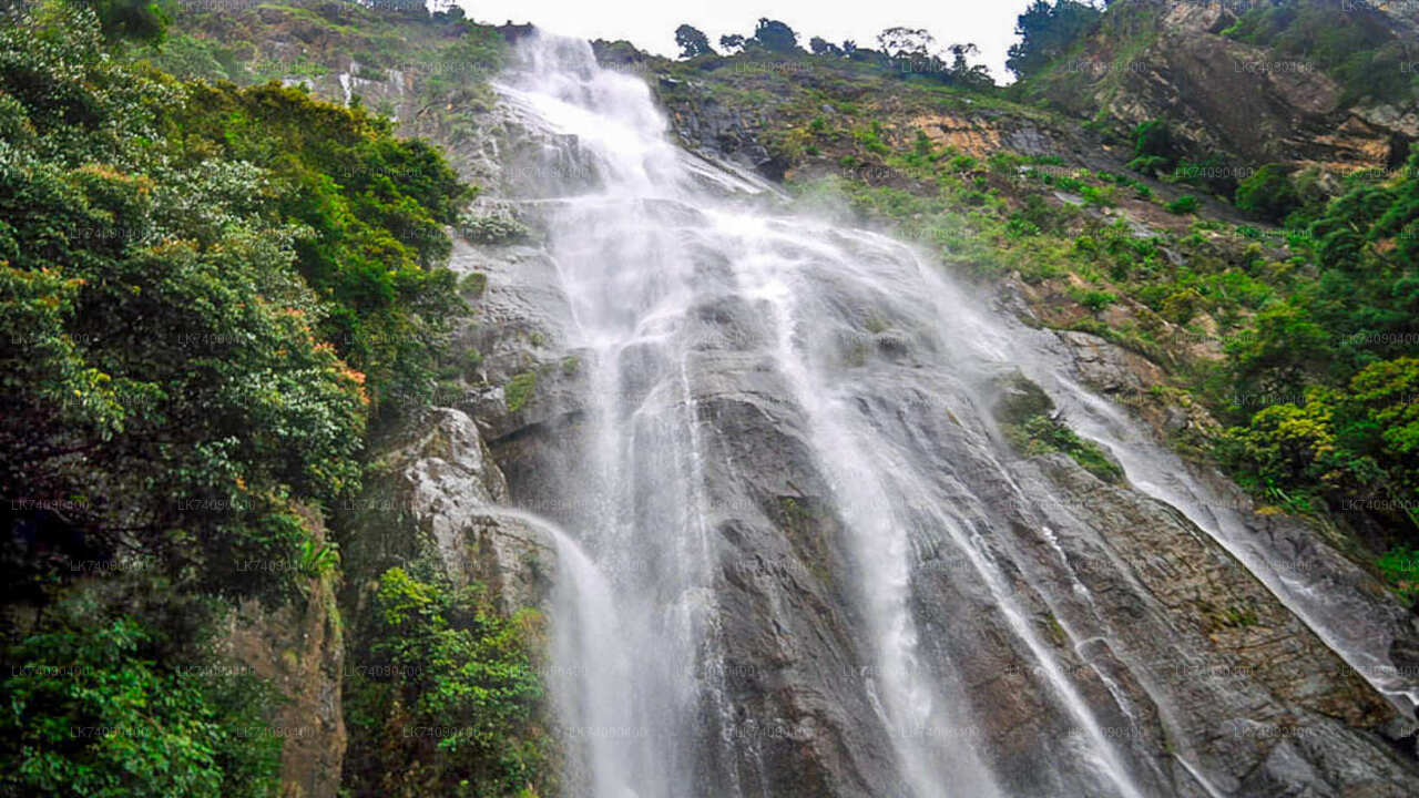 Hike to Bambarakanda Waterfall from Ella