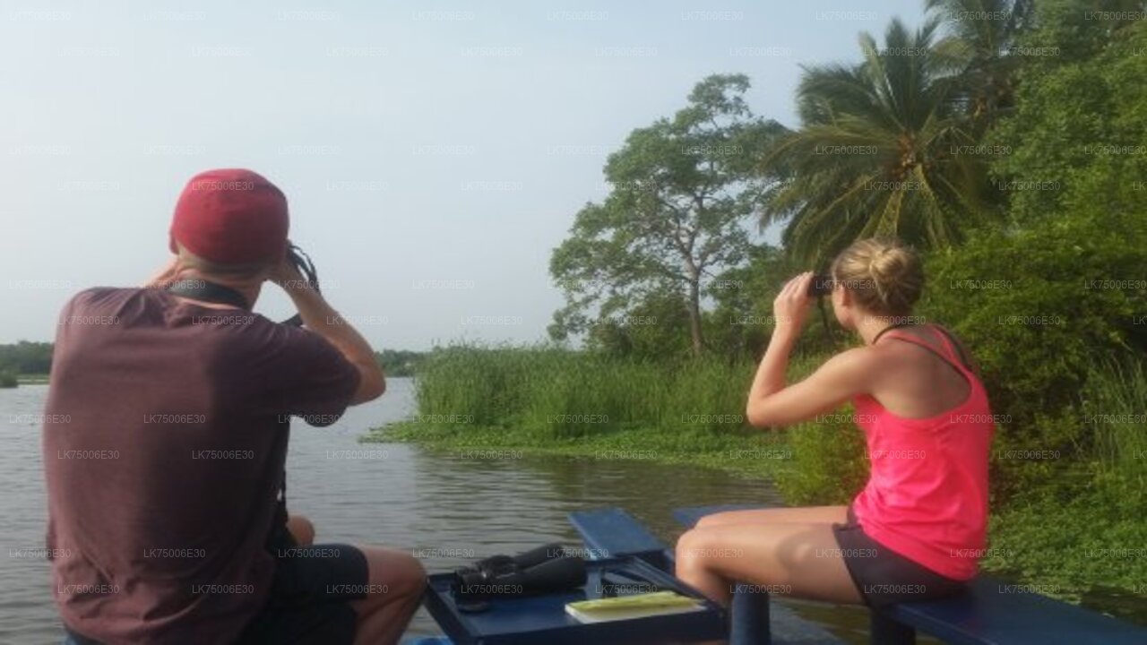 Birdwatching Boat Ride at Kalametiya Sanctuary from Tangalle