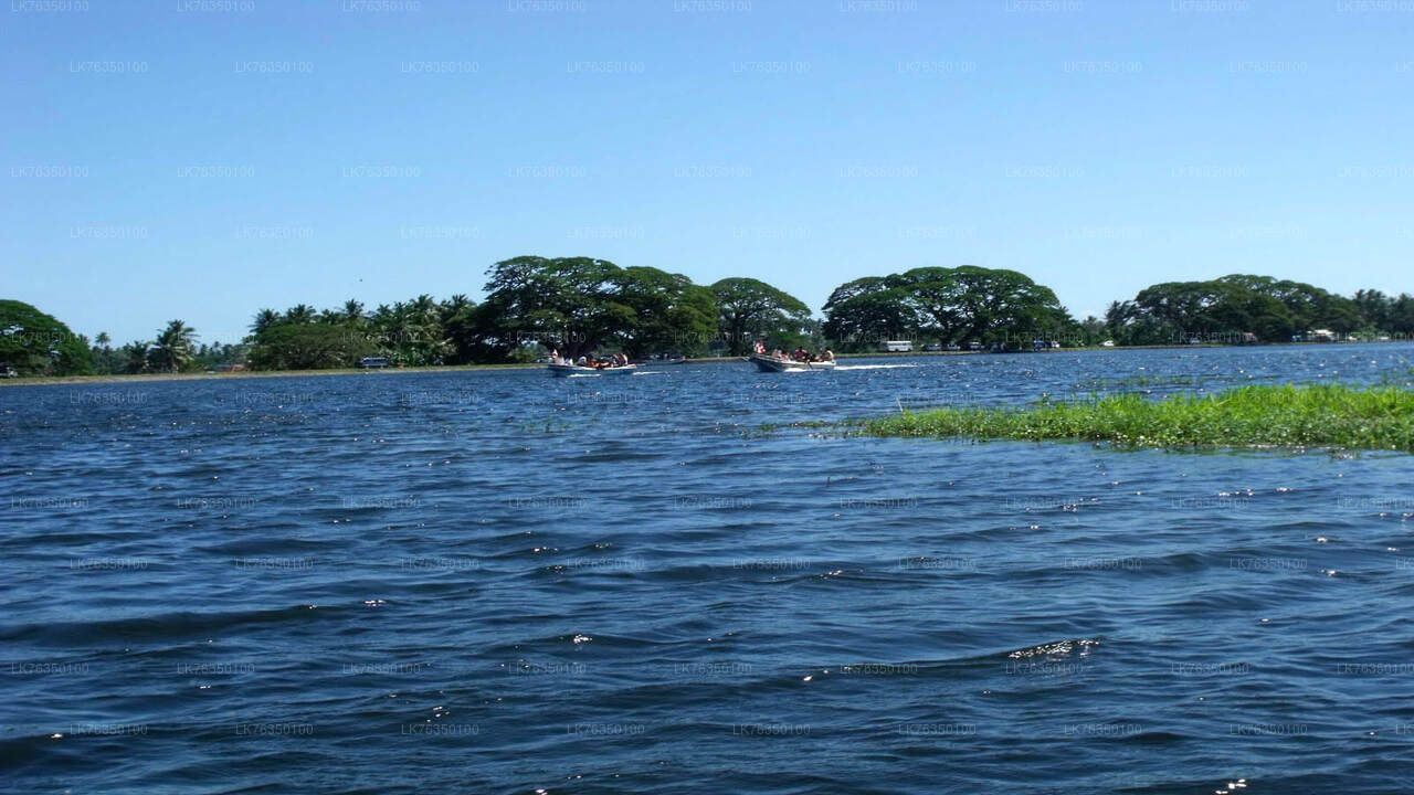 رحلة بالقارب في بحيرة تيساماهاراما
