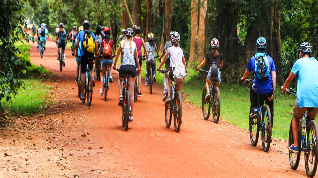 Cave Temple Cycling Tour from Ella