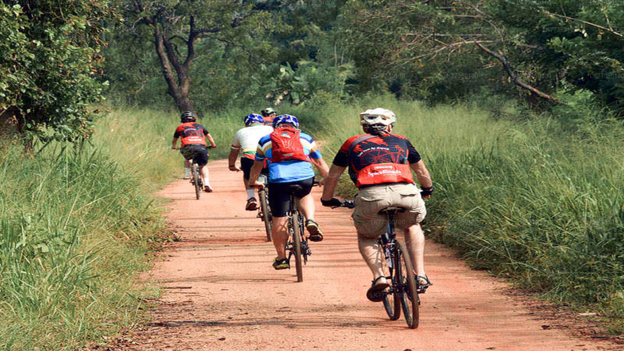 Cycling from Tissamaharama