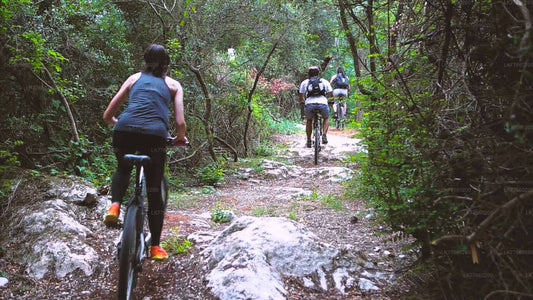 Urban Jungle Trail Cycling Tour from Mount Lavinia