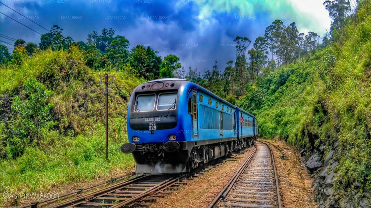 ركوب القطار من كولومبو إلى بادولا (القطار رقم: 1005 «Podi Menike»)