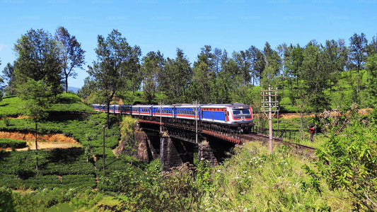 Colombo to Badulla train ride on (Train No: 1001 "Denuwara Menike")