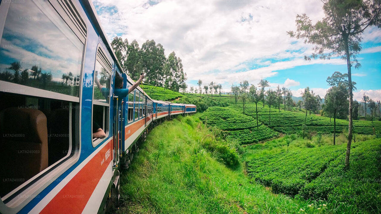 Peradeniya to Nanu Oya train ride on (Train No: 1001 "Denuwara Menike")