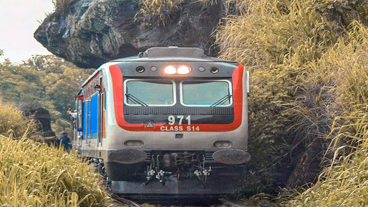 Peradeniya to Nanu Oya train ride on (Train No: 1001 "Denuwara Menike")