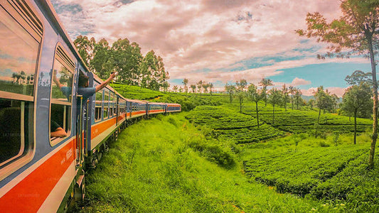 Nanu Oya to Ella train ride on (Train No: 1001 "Denuwara Menike")