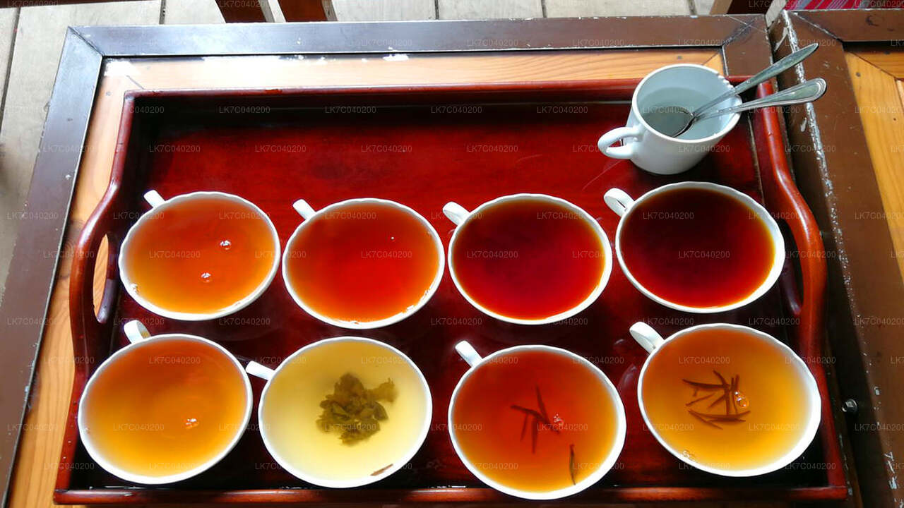 تذوق الشاي السيلاني من جالي