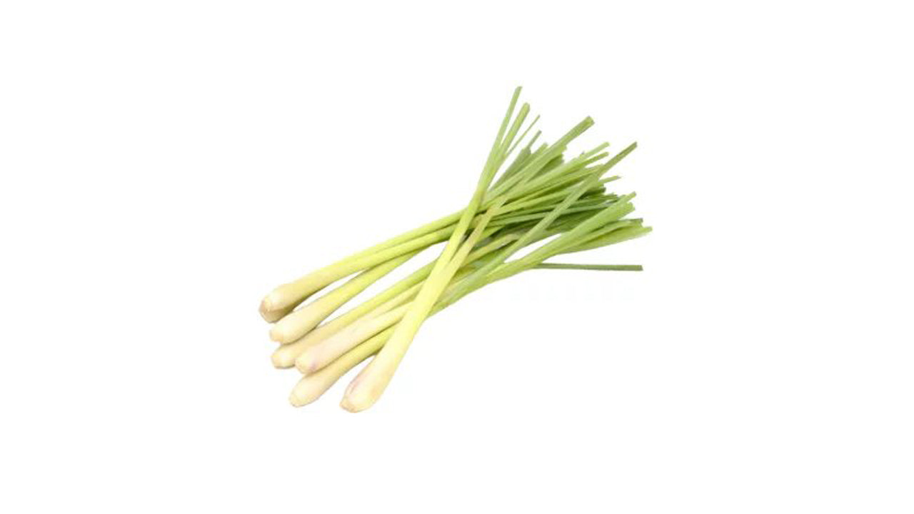 Lemon Grass (සේර) Spice Plants